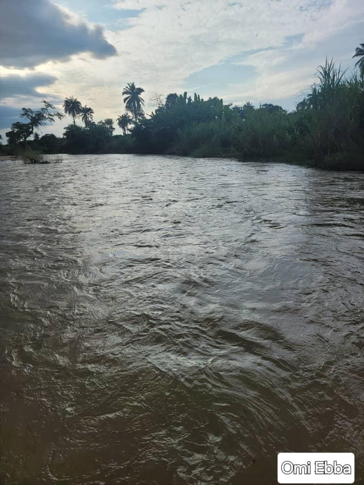 The Eba River in flow, with palm trees and dense vegetation along the far bank